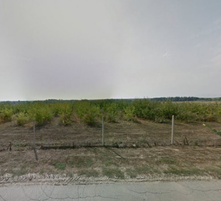 Kmetijsko zemljišče, Antunovac, 34330 Velika