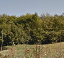 Stavbno zemljišče, Ježenj, 52000 Pazin