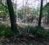 Gozd št. 2 - v deležu ½, Spodnje Gameljne, 1211 Ljubljana - Šmartno