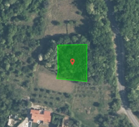 Gozd, Na Logu, 6280 Ankaran