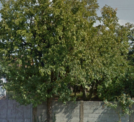 Stavbno kmetijsko zemljišče, Korduševci, 35211 Trnjani