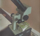 Binokularni mikroskop MBS-9