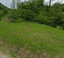 Kmetijsko zemljišče, Potok, Sv. Anton, 6276 Pobegi