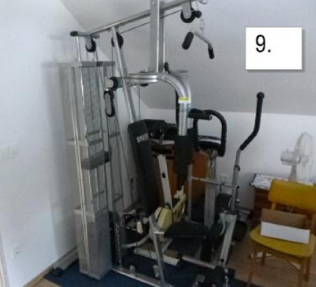 Multifunkcijska fitnes naprava Spartan Sport