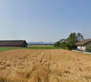 Stavbno zemljišče, Cesta v Polico, 4207 Cerklje na Gorenjskem