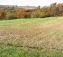 Kmetijsko zemljišče št. 1 - v deležu ½, Gerlinci, 9261 Cankova