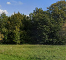 Gozd, kmetijsko zemljišče - v deležu ½, Gerlinci, 9261 Cankova