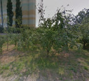 Stavbno zemljišče, Ulica ob progi, 9000 Murska Sobota