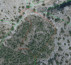 Kmetijsko gozdno zemljišče št. 2 - v deležu 5/9, Nerežišća, 21423 Nerežišća, Otok Brač