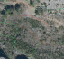 Kmetijsko gozdno zemljišče št. 4 - v deležu 5/9, Nerežišća, 21423 Nerežišća, Otok Brač