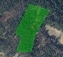Gozd št. 1, Neradnovci, 9203 Petrovci