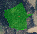 Gozd št. 3, Neradnovci, 9203 Petrovci