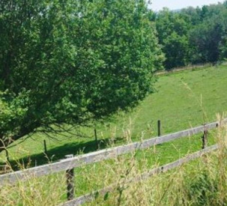 Kmetijsko zemljišče, gozd, Vorančeva ulica, Spodnje Poljčane, 2319 Poljčane