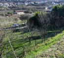 Stavbno zemljišče, Bošamarin, 6000 Koper