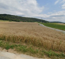 Kmetijsko zemljišče - v deležu 1/12, Paradišče, 1293 Šmarje - Sap