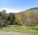 Gozd - v deležu ½, Razbor pri Čemšeniku, 1413 Čemšenik
