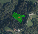 Gozd, kmetijsko zemljišče - v deležu ½, Razbor pri Čemšeniku, 1413 Čemšenik