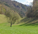 Kmetijsko zemljišče - v deležu ½, Ržiše, 1413 Čemšenik