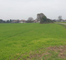 Kmetijsko zemljišče št. 2 - v deležu ½, Gerečja vas, 2288 Hajdina