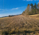 Kmetijsko zemljišče, Bukošek, 8250 Brežice