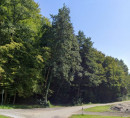 Gozd, Veliki Brebrovnik, 2275 Miklavž pri Ormožu