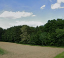 Gozd - v deležu ½, Grajenščak, 2250 Ptuj