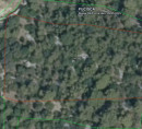 Gozd - v deležu ½, Pučišća, 21412 Pučišća, Otok Brač
