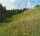 Kmetijsko zemljišče, gozd, Golo, 1292 Ig