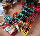 Zaloge: Alkoholne in brezalkoholne pijače