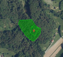 Gozd - v deležu ½, Kamenik, 3240 Šmarje pri Jelšah