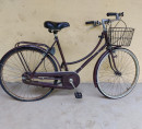 Mestno kolo Sturmey, gorsko kolo GT