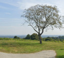 Stavbno zemljišče, Rački Vrh, 9252 Radenci