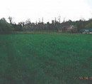 Stavbno zemljišče - v deležu ½, Gozdna ulica, 9241 Veržej