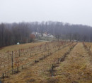 Kmetijsko zemljišče - v deležu ½, Godemarci, 9243 Mala Nedelja