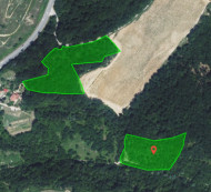 Kmetijsko zemljišče, gozd, Grintovec, 6274 Šmarje