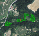 Kmetijska zemljišča, gozd, Padna, 6333 Sečovlje