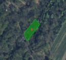 Gozd št. 1 - v deležu ½, Borejci, 9251 Tišina