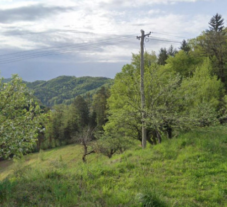 Kmetijsko zemljišče, gozd, Rove, 3213 Frankolovo