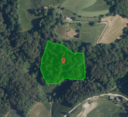 Gozd - v deležu 7/12, Slatina pri Ponikvi, 3232 Ponikva