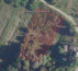 Gozd, Ulica Stjepana Radića, Martinci Miholjački, 31530 Podravska Moslavina