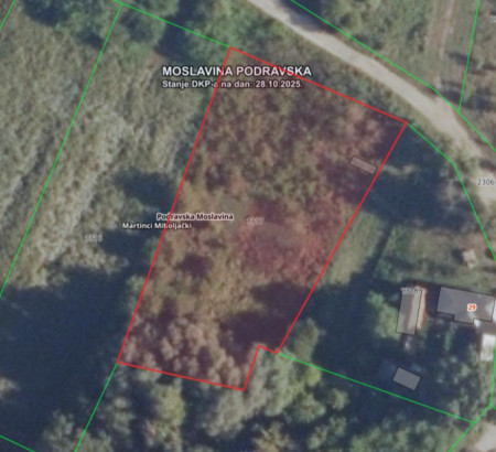 Gozd, Ulica Stjepana Radića, Martinci Miholjački, 31530 Podravska Moslavina