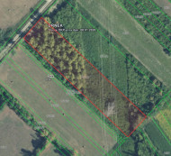 Kmetijsko gozdno zemljišče, Orle, 10411 Orle