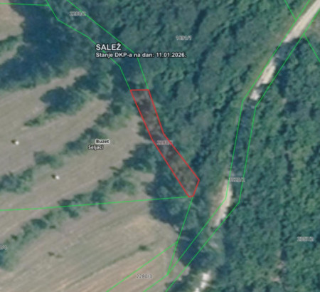 Gozd št. 2, Seljaci, 52420 Buzet
