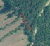 Gozd št. 2, Seljaci, 52420 Buzet