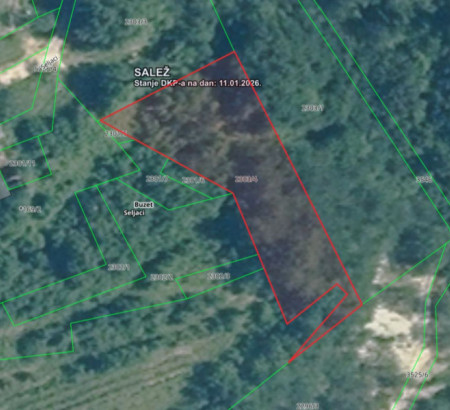 Gozd št. 3, Seljaci, 52420 Buzet