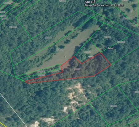 Gozd št. 4, Seljaci, 52420 Buzet