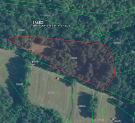 Gozd št. 6, Seljaci, 52420 Buzet