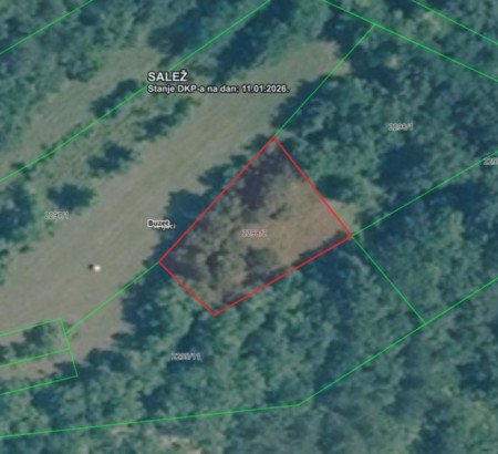 Gozd št. 8, Seljaci, 52420 Buzet