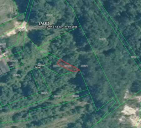 Gozd št. 9, Seljaci, 52420 Buzet
