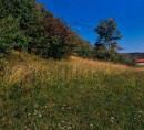 Stavbno zemljišče, kmetijsko zemljišče, Srednik, 8297 Šentjanž